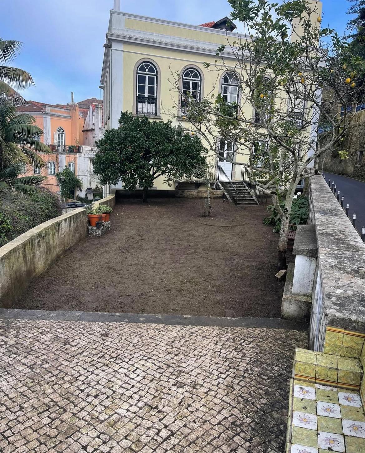 Depois Árvore