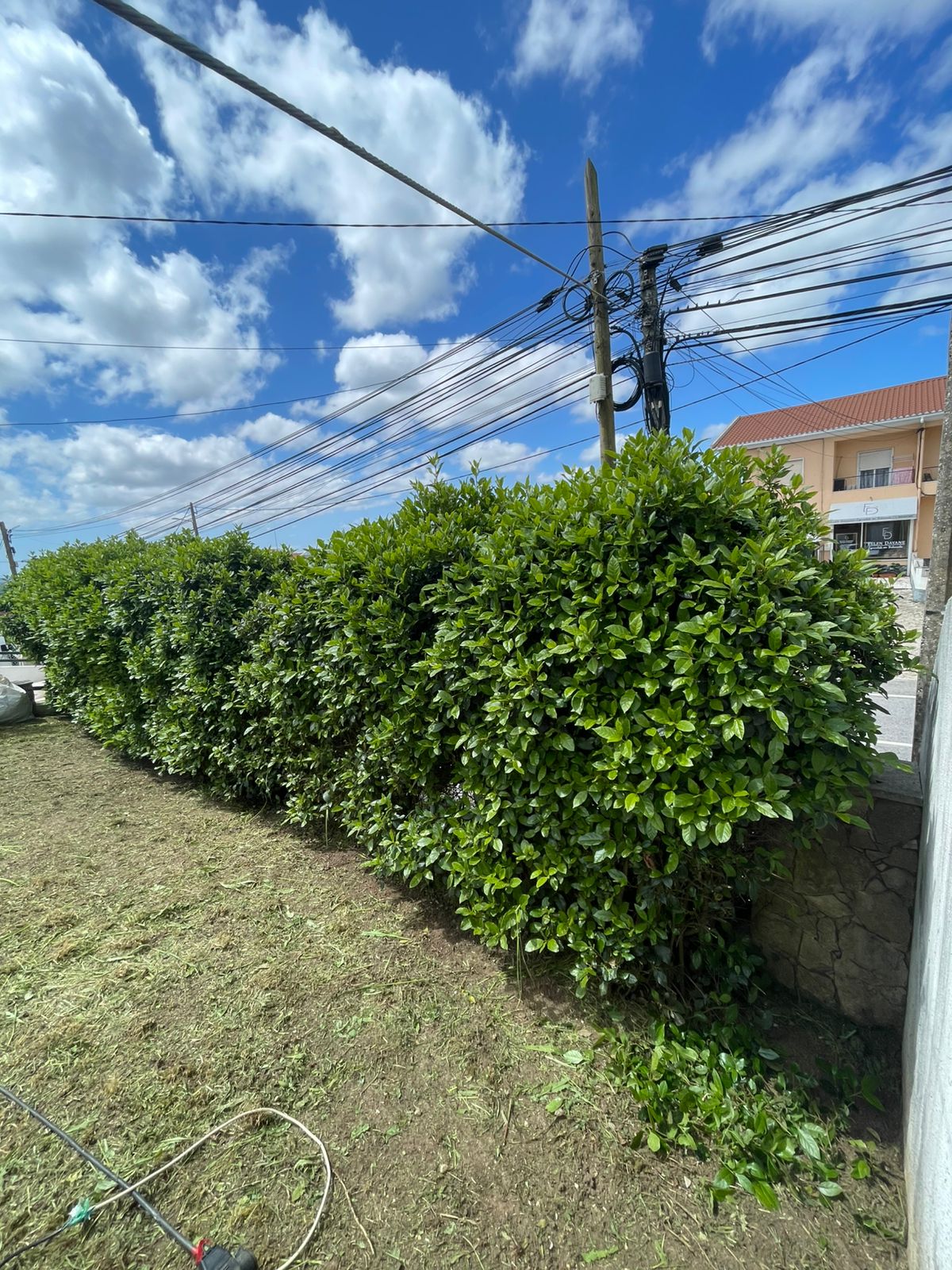 Antes Jardim 2