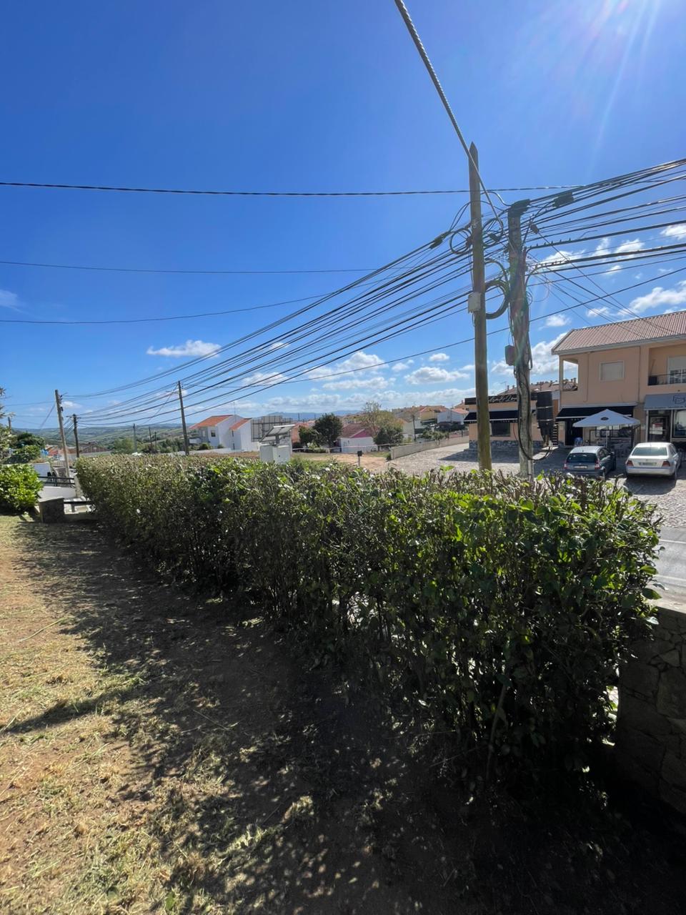 Depois Jardim 2